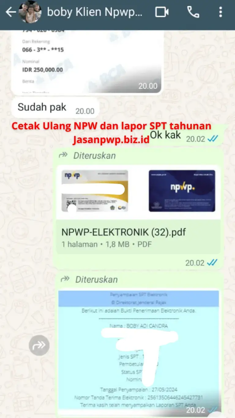 Cetak Ulang NPWP Pribadi