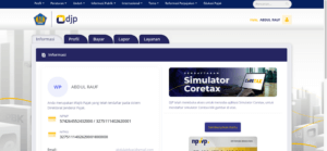 Tampilan akun DJP online