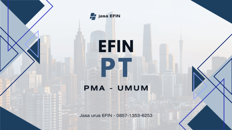 Jasa pembuatan EFIN PT