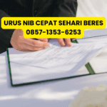 Jasa Pengurusan NIB OSS